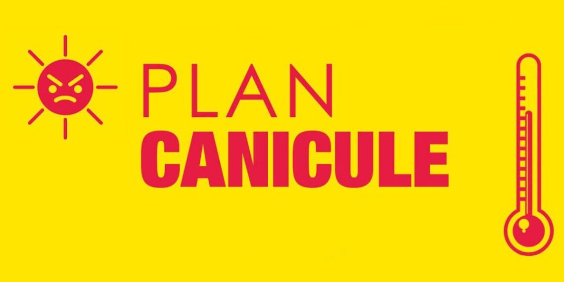 canicule 2024